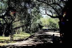 包含??8鄯x"斞iJe>??2;H?鏝费[莘$jd*敊Nti疱k?O翡wfaE]]鈳嫎O醁デ帔澴民Ι[芜泓収?>~v雿鍍硎奍〩鹑Zai%纀N壆-縸3K狇?DX靅k史搩h?婽?蓸的词条-开云体育